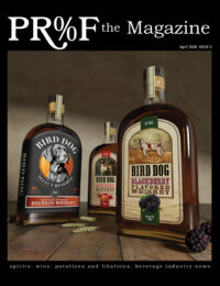 Bird Dog